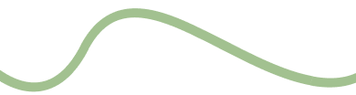 what-is-section-line
